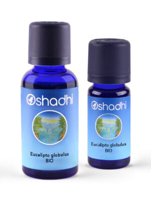 Oshadhi – Eucalipto globulus